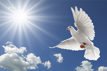 World Peace Day 2025 - 17.11.2025