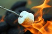 Tag der gerösteten Marshmallows 2015