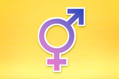 Welttag der Intersexualit&auml;t 2026