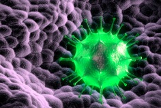 Ehrentag des Virus 2023