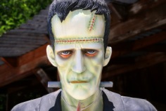 Frankenstein-Freitag 2026