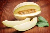Tag der Melone 2028