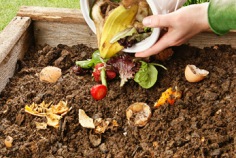Lerne-wie-Kompostieren-geht-Tag 2022