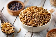 Koch-was-Gewagtes-Tag 2025