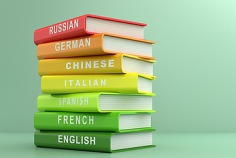 Dictionary-Tag 2025