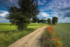 Meteorologischer Sommerbeginn 2013