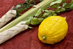 Sukkot 2026