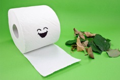 Tag des Toilettenpapiers 2026