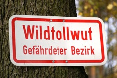 Welt-Tollwuttag 2026